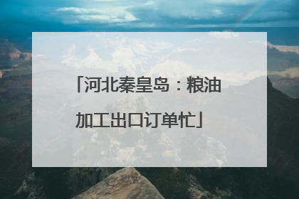 河北秦皇岛：粮油加工出口订单忙