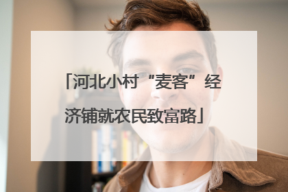 河北小村“麦客”经济铺就农民致富路