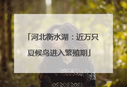 河北衡水湖：近万只夏候鸟进入繁殖期