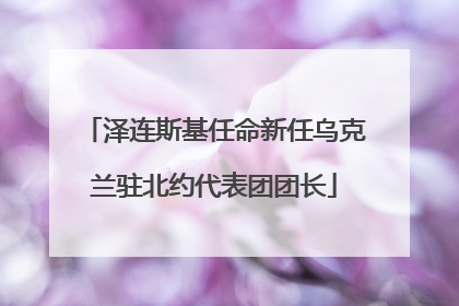 泽连斯基任命新任乌克兰驻北约代表团团长