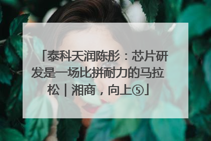 泰科天润陈彤：芯片研发是一场比拼耐力的马拉松｜湘商，向上⑤