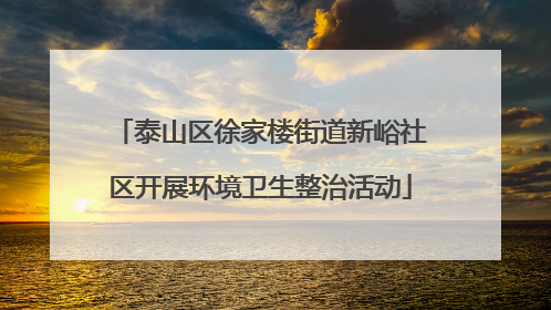 泰山区徐家楼街道新峪社区开展环境卫生整治活动