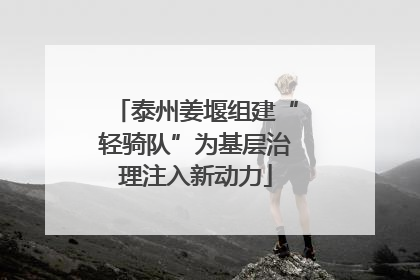 泰州姜堰组建“轻骑队”为基层治理注入新动力