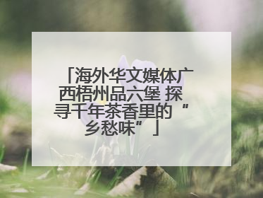 海外华文媒体广西梧州品六堡 探寻千年茶香里的“乡愁味”