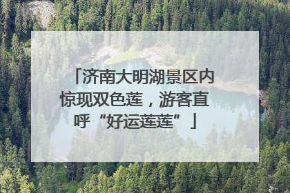 济南大明湖景区内惊现双色莲，游客直呼“好运莲莲”