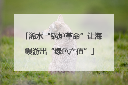 浠水“锅炉革命”让海鳗游出“绿色产值”