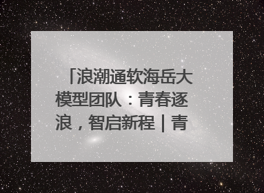 浪潮通软海岳大模型团队：青春逐浪，智启新程｜青春思政课