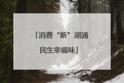消费“新”潮涌 民生幸福味