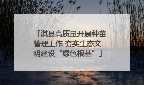 淇县高质量开展种苗管理工作 夯实生态文明建设“绿色根基”