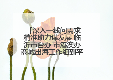 深入一线问需求 精准助力谋发展 临沂市台办 市港澳办商城出海工作组到平邑县走访调研