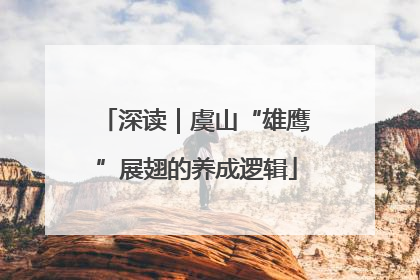 深读｜虞山“雄鹰”展翅的养成逻辑