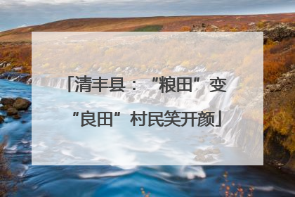 清丰县：“粮田”变“良田”村民笑开颜