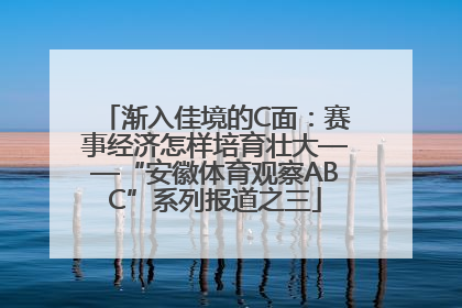 渐入佳境的C面：赛事经济怎样培育壮大——“安徽体育观察ABC”系列报道之三