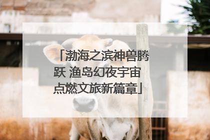 渤海之滨神兽腾跃 渔岛幻夜宇宙点燃文旅新篇章