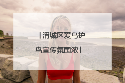 渭城区爱鸟护鸟宣传氛围浓