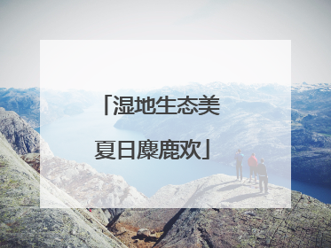 湿地生态美 夏日麋鹿欢
