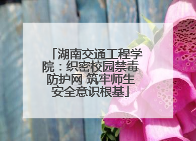 湖南交通工程学院：织密校园禁毒防护网 筑牢师生安全意识根基