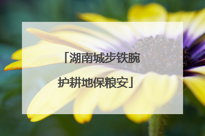 湖南城步铁腕护耕地保粮安