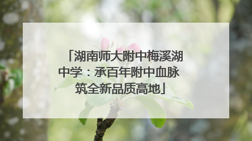 湖南师大附中梅溪湖中学：承百年附中血脉 筑全新品质高地
