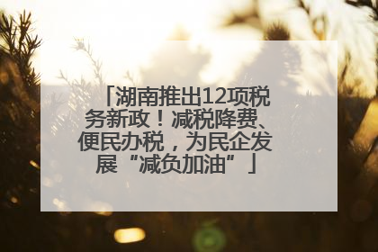 湖南推出12项税务新政！减税降费、便民办税，为民企发展“减负加油”