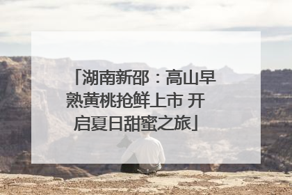 湖南新邵：高山早熟黄桃抢鲜上市 开启夏日甜蜜之旅