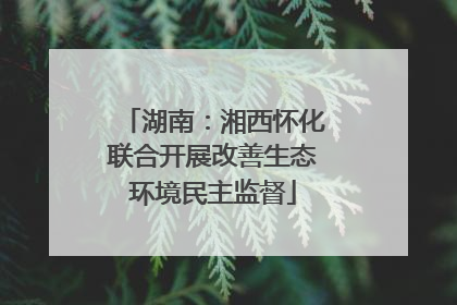 湖南：湘西怀化联合开展改善生态环境民主监督