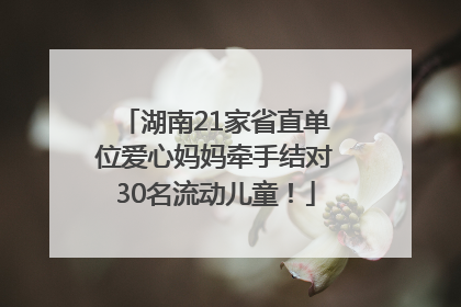 湖南21家省直单位爱心妈妈牵手结对30名流动儿童！