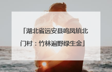 湖北省远安县鸣凤镇北门村：竹林遍野绿生金