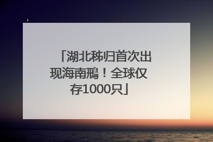 湖北秭归首次出现海南鳽！全球仅存1000只