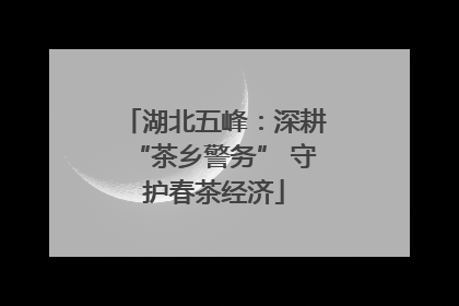 湖北五峰：深耕“茶乡警务” 守护春茶经济