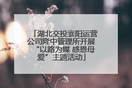 湖北交投襄阳运营公司隆中管理所开展“以路为媒 感恩母爱”主题活动