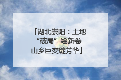 湖北崇阳：土地“破局”绘新卷 山乡巨变绽芳华