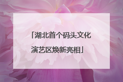 湖北首个码头文化演艺区焕新亮相