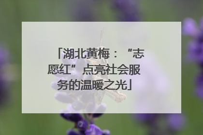 湖北黄梅：“志愿红”点亮社会服务的温暖之光
