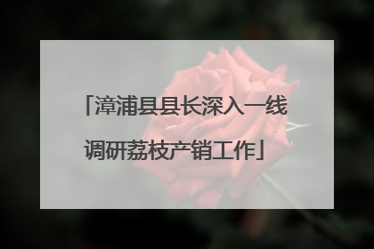 漳浦县县长深入一线调研荔枝产销工作