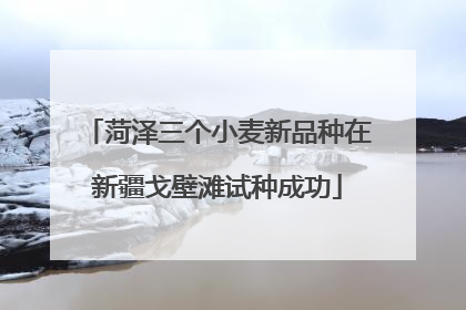 菏泽三个小麦新品种在新疆戈壁滩试种成功