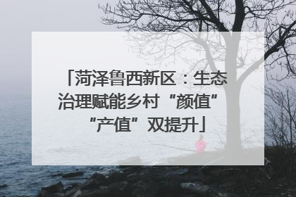 菏泽鲁西新区：生态治理赋能乡村“颜值”“产值”双提升