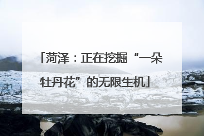 菏泽：正在挖掘“一朵牡丹花”的无限生机