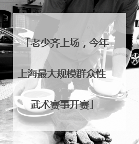 老少齐上场，今年上海最大规模群众性武术赛事开赛