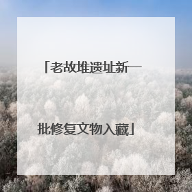 老故堆遗址新一批修复文物入藏