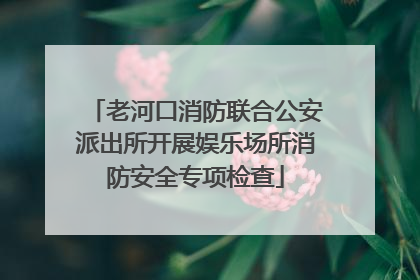 老河口消防联合公安派出所开展娱乐场所消防安全专项检查