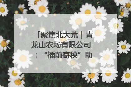 聚焦北大荒｜青龙山农场有限公司：“插前寄秧”助力农业节本增效