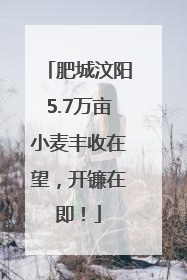 肥城汶阳5.7万亩小麦丰收在望，开镰在即！