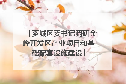 芗城区委书记调研金峰开发区产业项目和基础配套设施建设