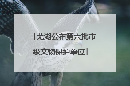 芜湖公布第六批市级文物保护单位