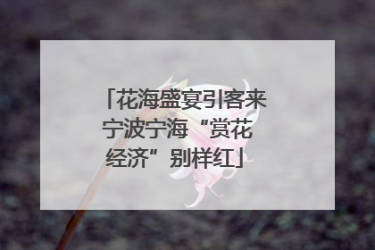 花海盛宴引客来 宁波宁海“赏花经济”别样红