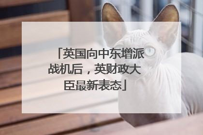 英国向中东增派战机后，英财政大臣最新表态
