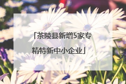 茶陵县新增5家专精特新中小企业
