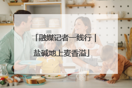 融媒记者一线行｜盐碱地上麦香溢