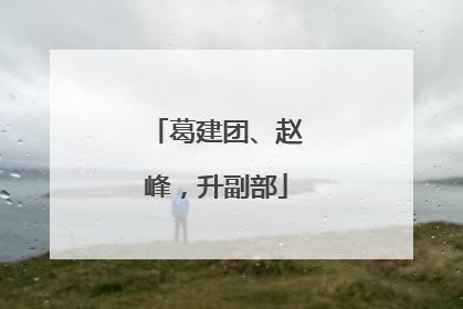 葛建团、赵峰，升副部